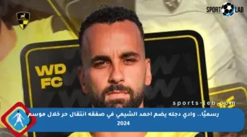رسميًا.. وادي دجلة يضم أحمد الشيمي في صفقة انتقال حر خلال موسم 2024